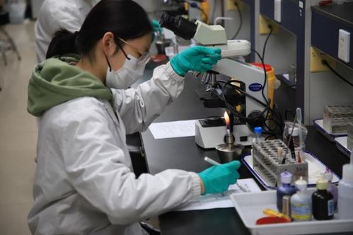 第九屆達承杯醫(yī)學檢驗技術專業(yè)本科生技能大賽圓滿落幕，技術研發(fā)成果顯著